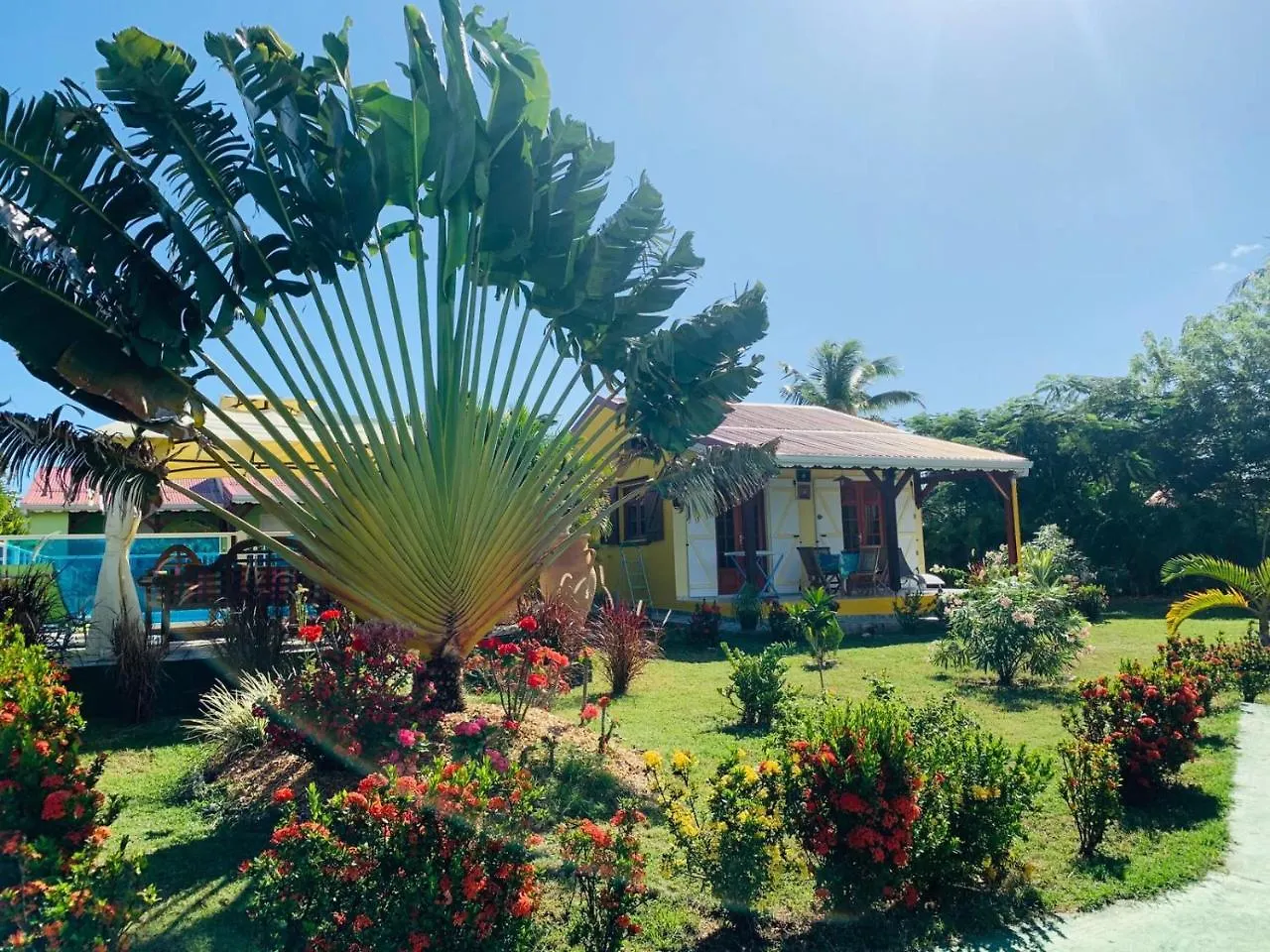 Villa Les Palmes du Moulin à Saint-Louis Hébergement de vacances