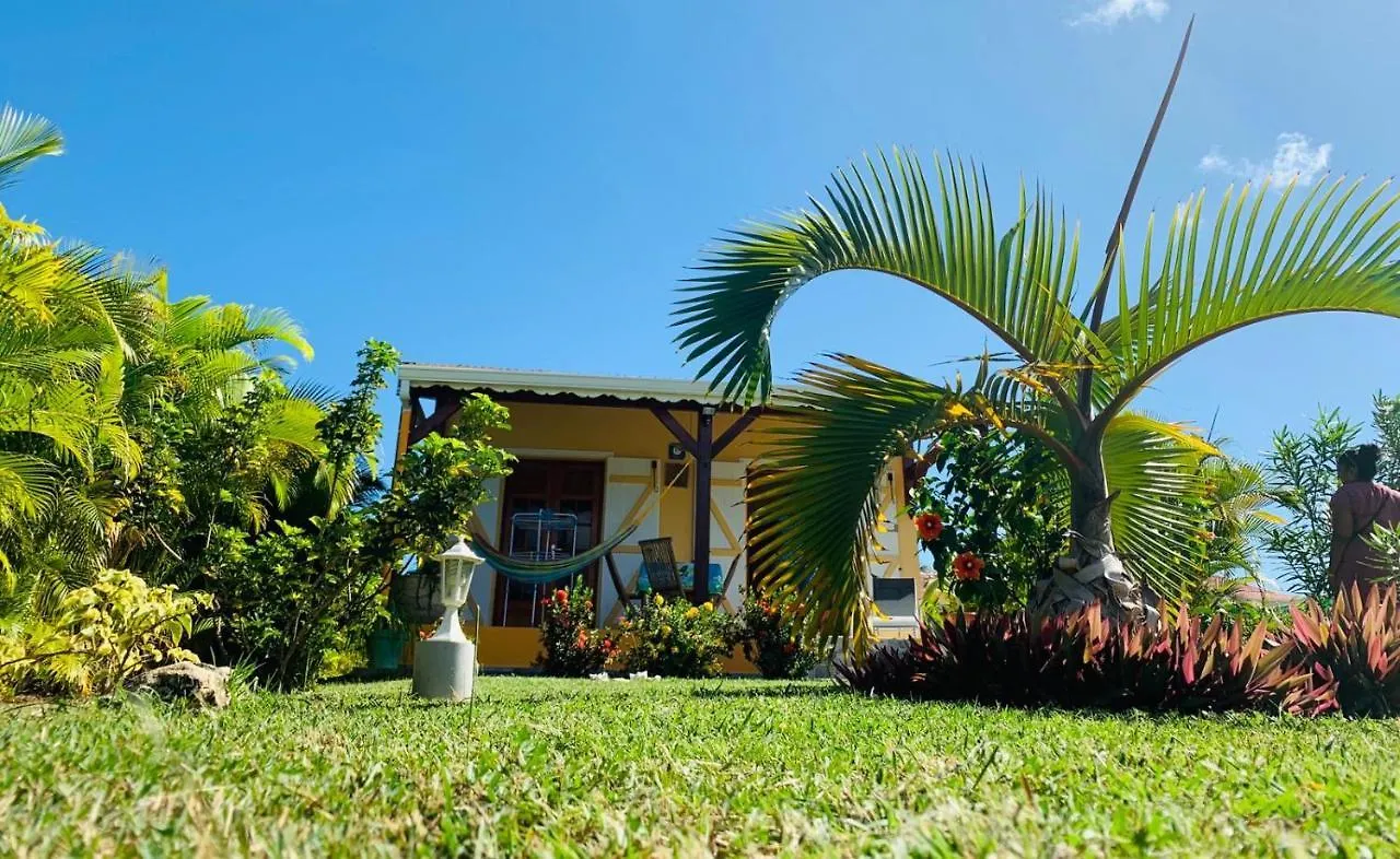 Hébergement de vacances Villa Les Palmes du Moulin à Saint-Louis Guadeloupe